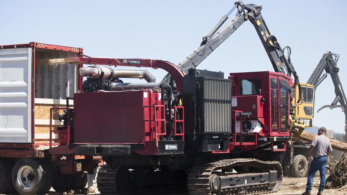 Test project to ship wood chips from northern Arizona to South Korea